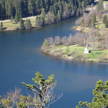 فيلا Chalet La Petite Perle جوراردُميه المظهر الخارجي الصورة