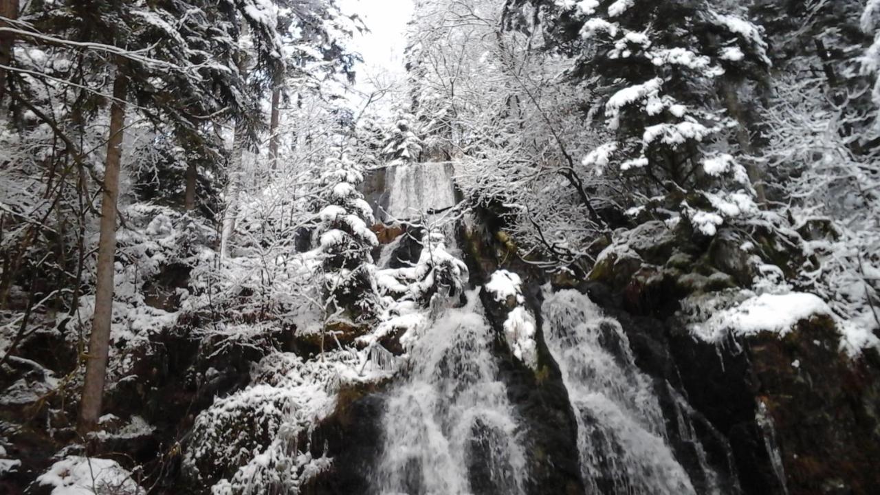 فيلا Chalet La Petite Perle جوراردُميه المظهر الخارجي الصورة