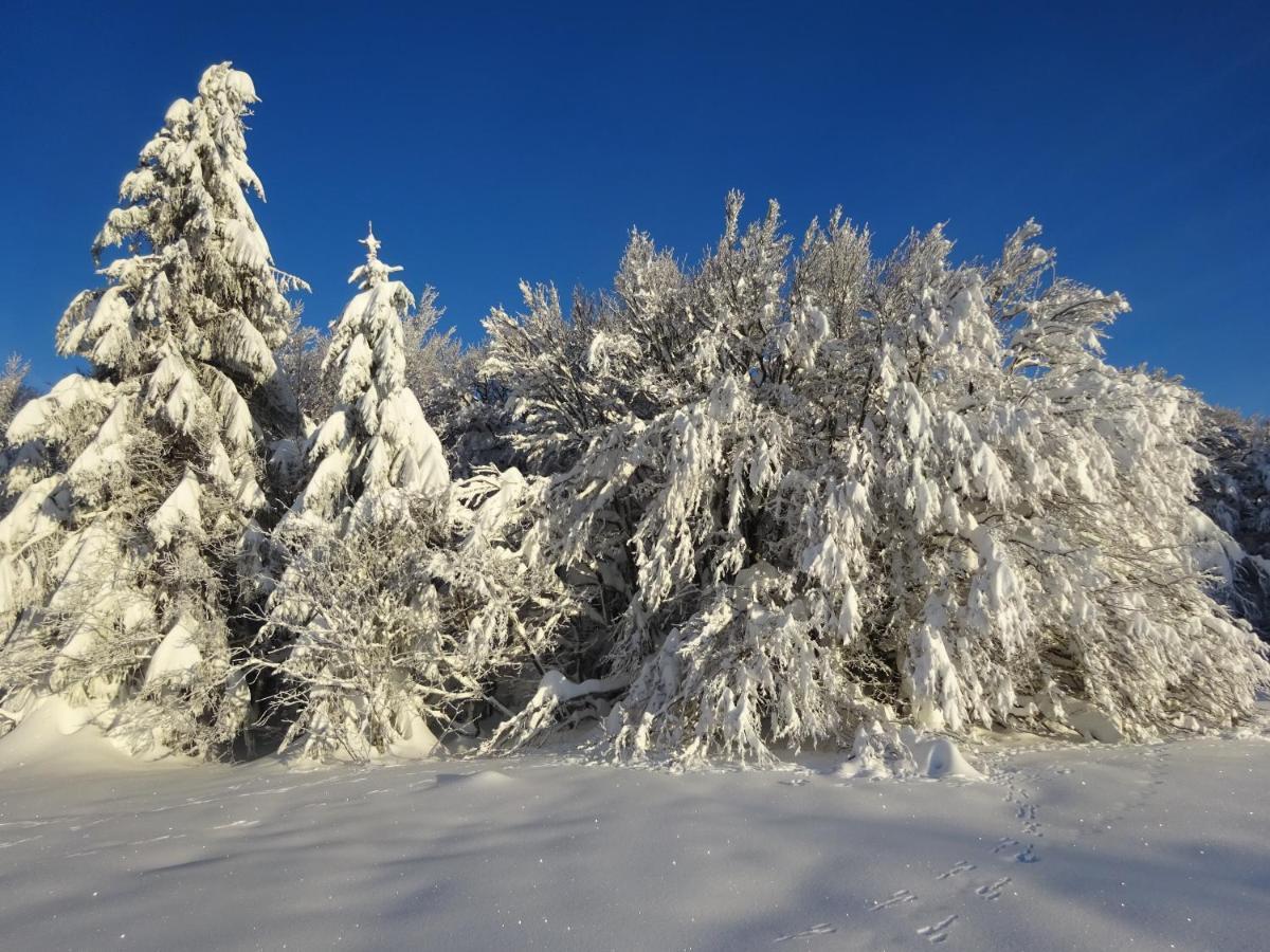 فيلا Chalet La Petite Perle جوراردُميه المظهر الخارجي الصورة