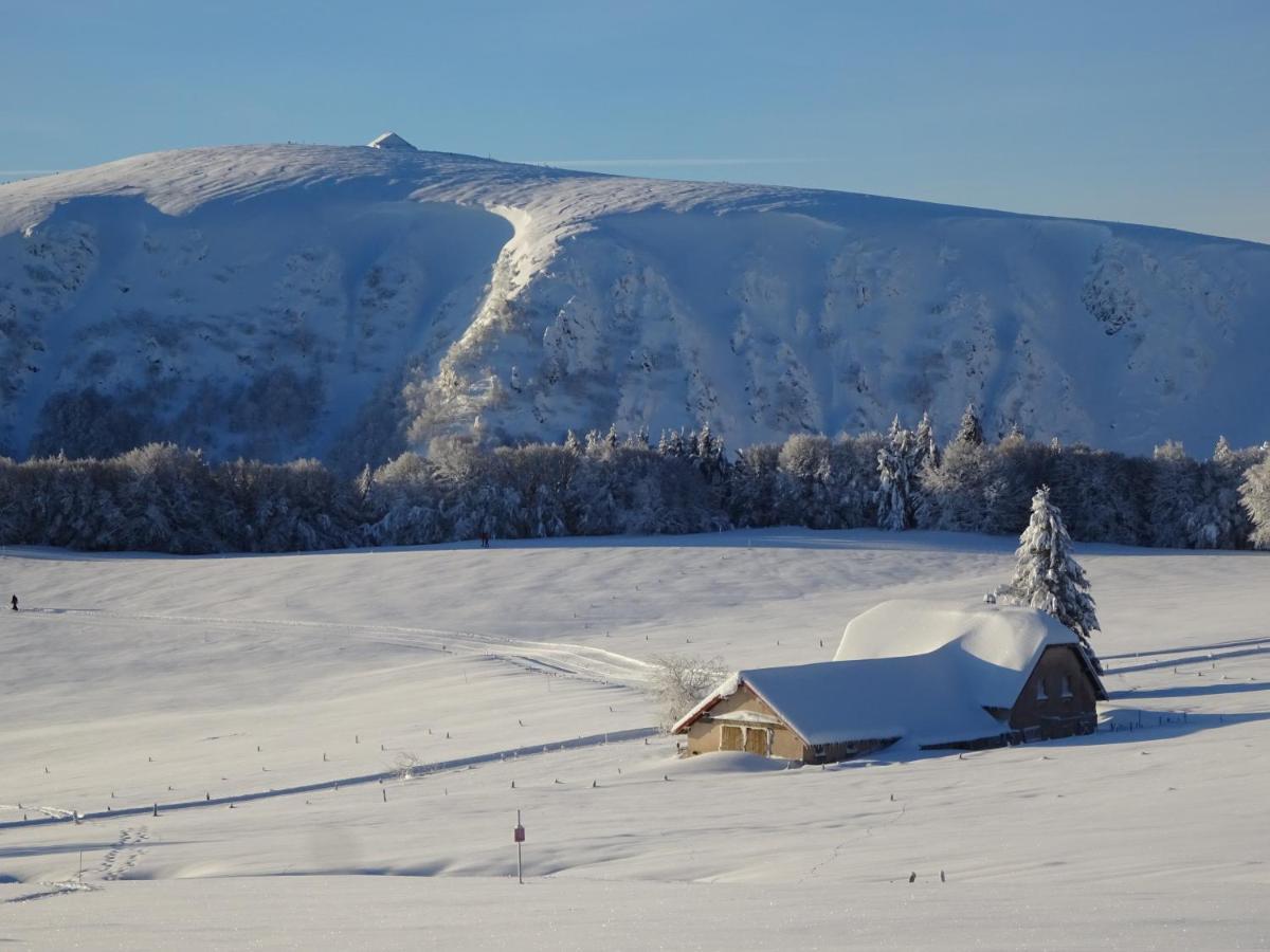 فيلا Chalet La Petite Perle جوراردُميه المظهر الخارجي الصورة