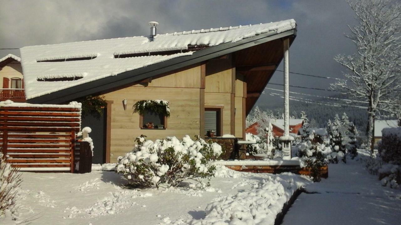 فيلا Chalet La Petite Perle جوراردُميه المظهر الخارجي الصورة