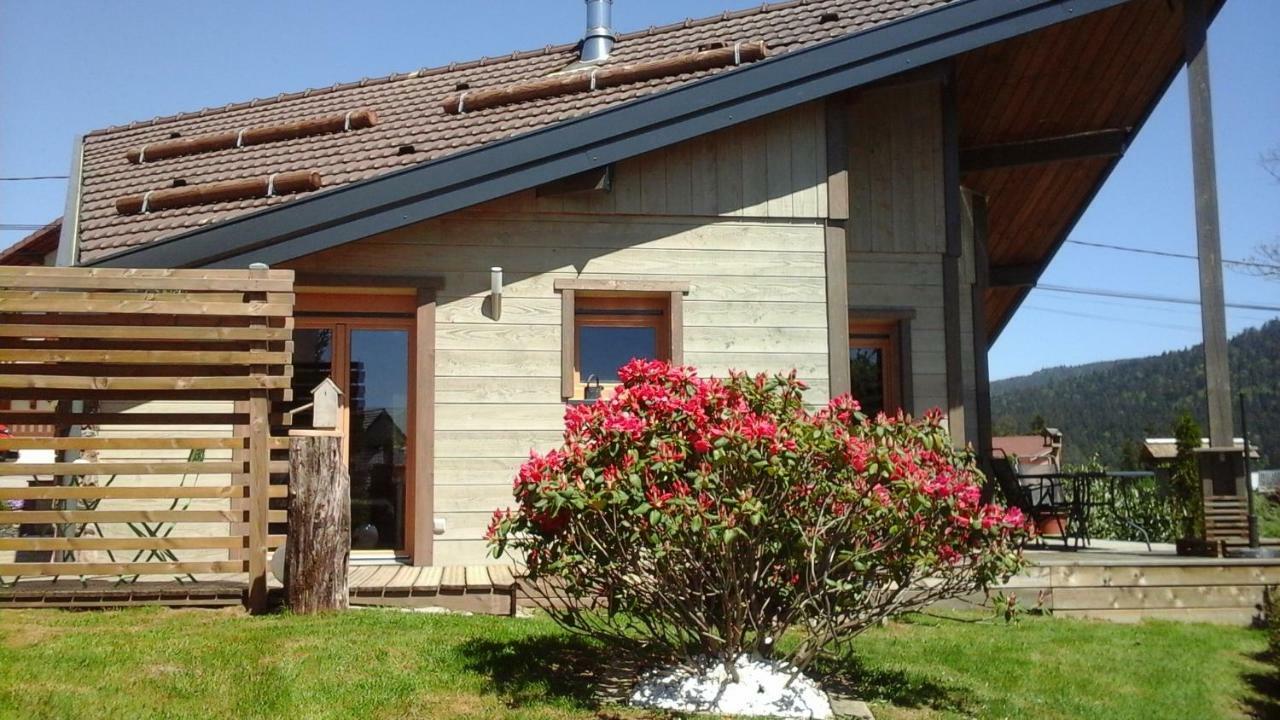 فيلا Chalet La Petite Perle جوراردُميه المظهر الخارجي الصورة