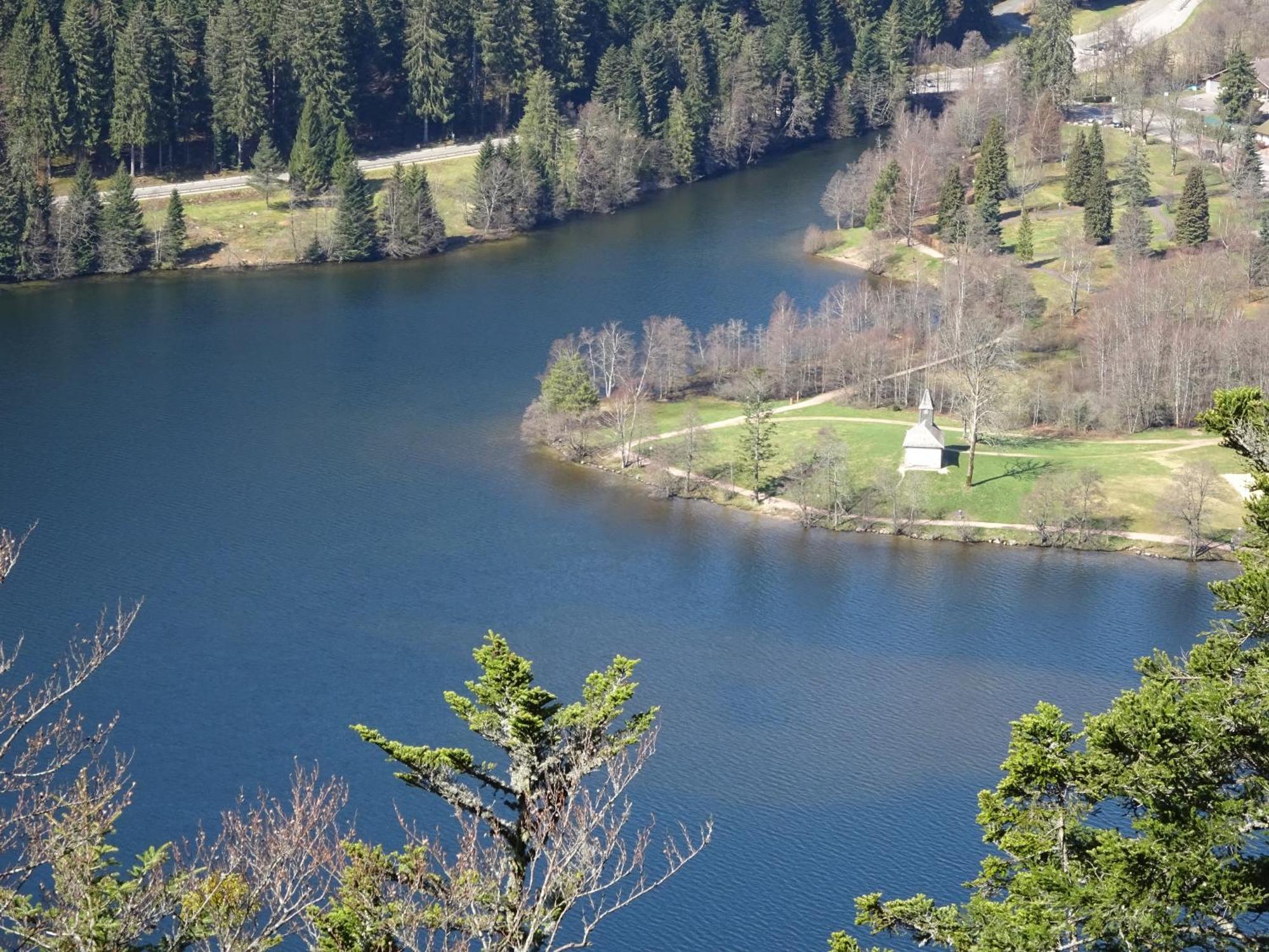 فيلا Chalet La Petite Perle جوراردُميه المظهر الخارجي الصورة